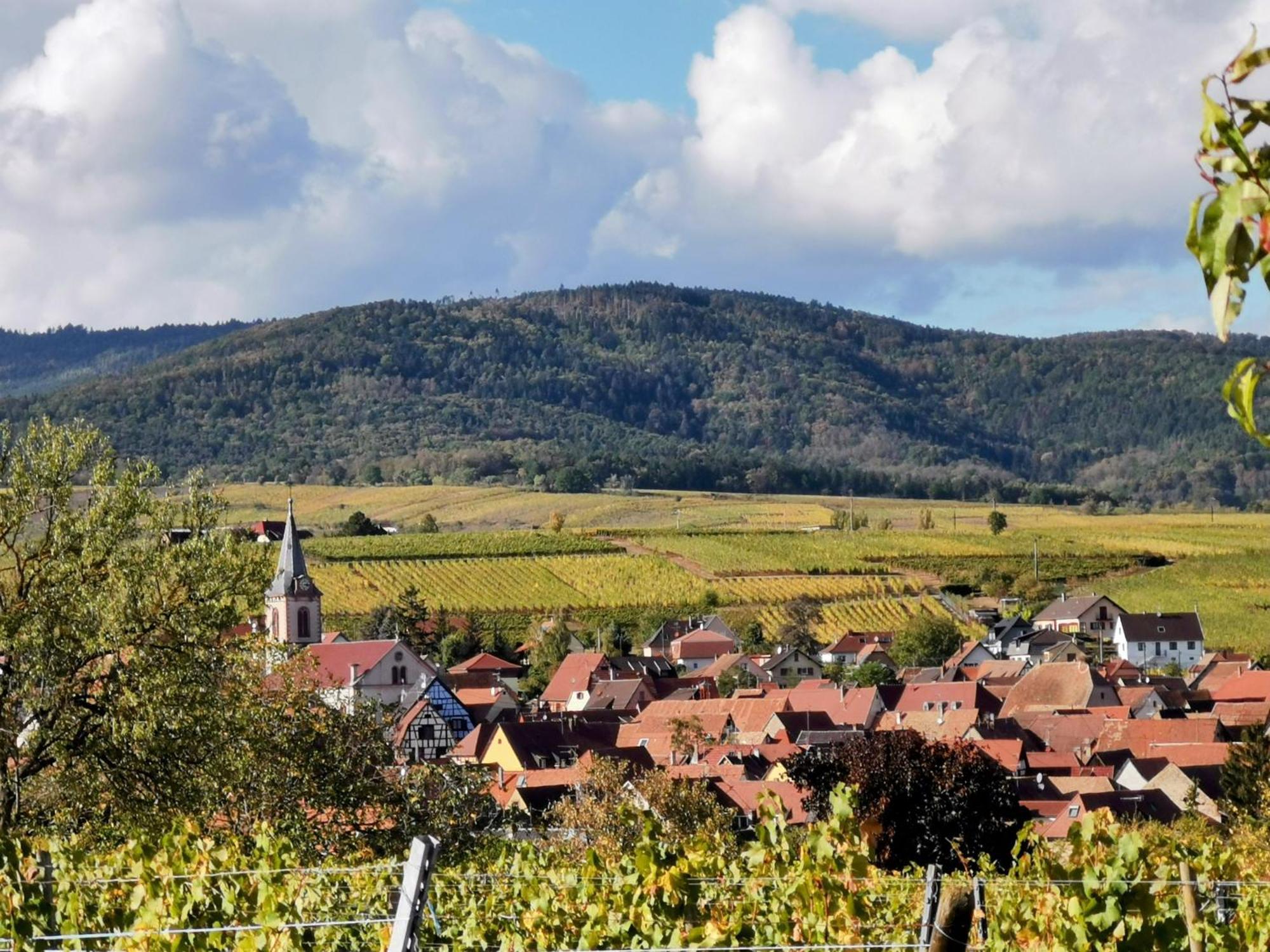 Gites Marschall Jean-Pierre Beblenheim Exterior foto