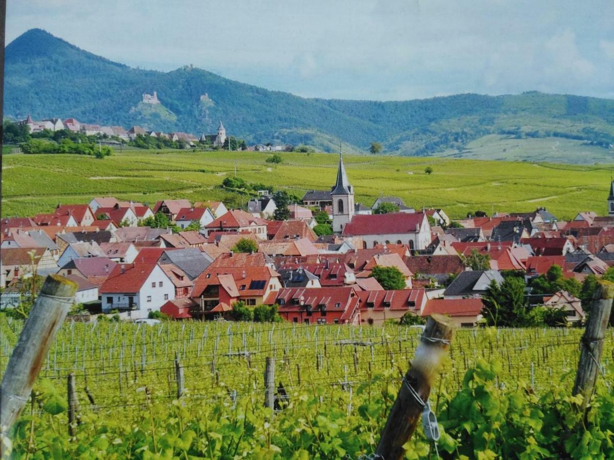 Gites Marschall Jean-Pierre Beblenheim Exterior foto